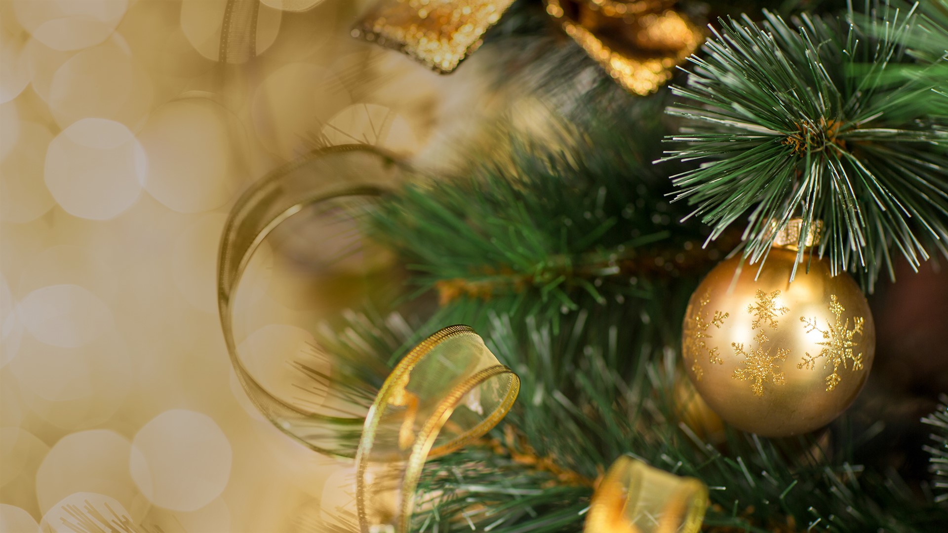 Download Liv Feestdagen 2018 Liv Woonbelevingscentrum For iPhone Free Wallpaper Liv Feestdagen 2018 Liv Woonbelevingscentrum For Android Free